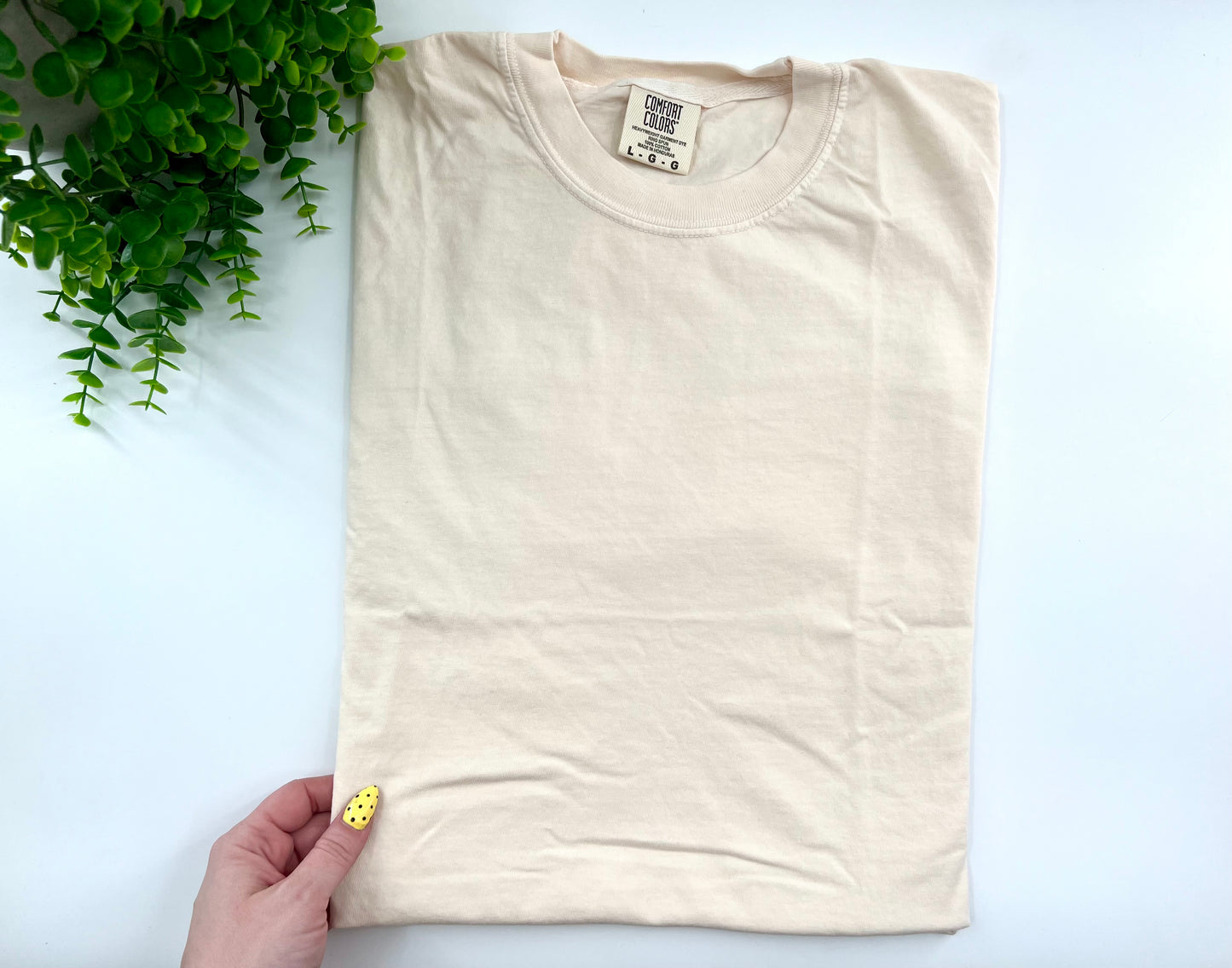 SMALL - Ivory Comfort Colors - Tshirt