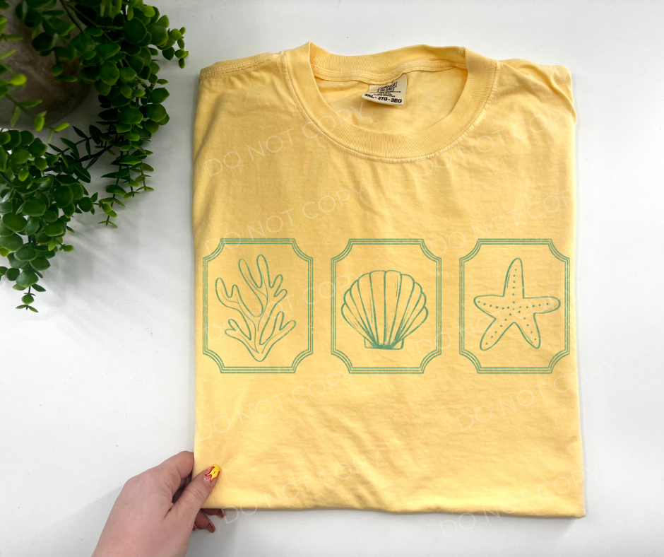 Seashells - Custom