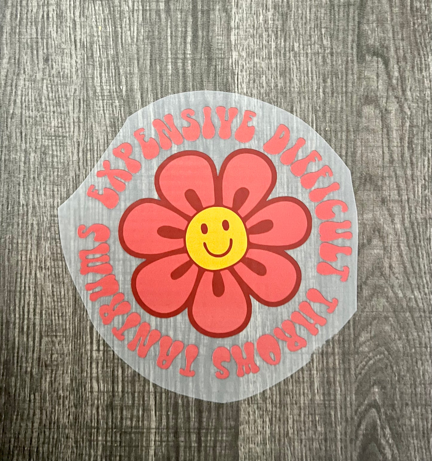 #117 - YOUTH - Expensive Difficult Throws Tantrums - DRECT TO FILM PRINT ONLY