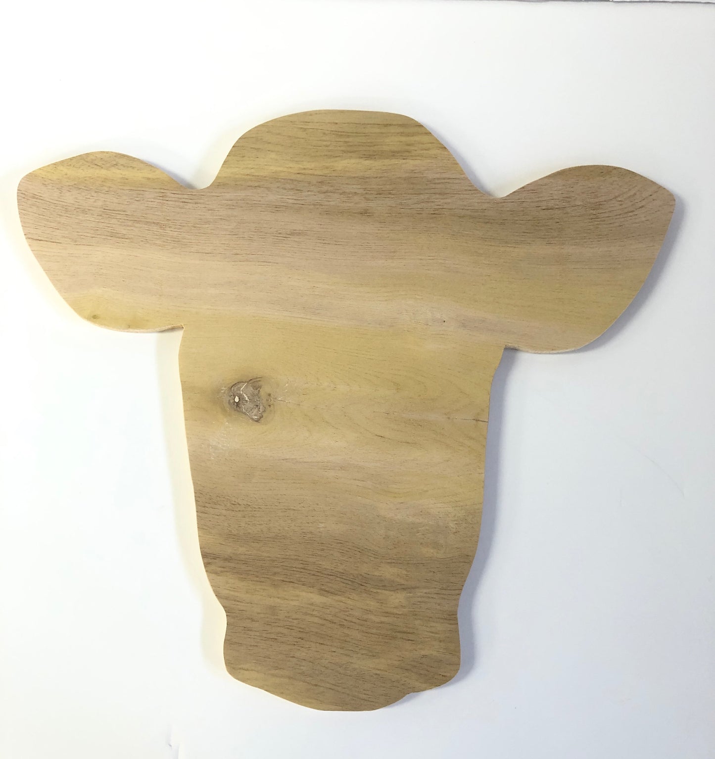 Raw Cow Head Door Hanger - 18”