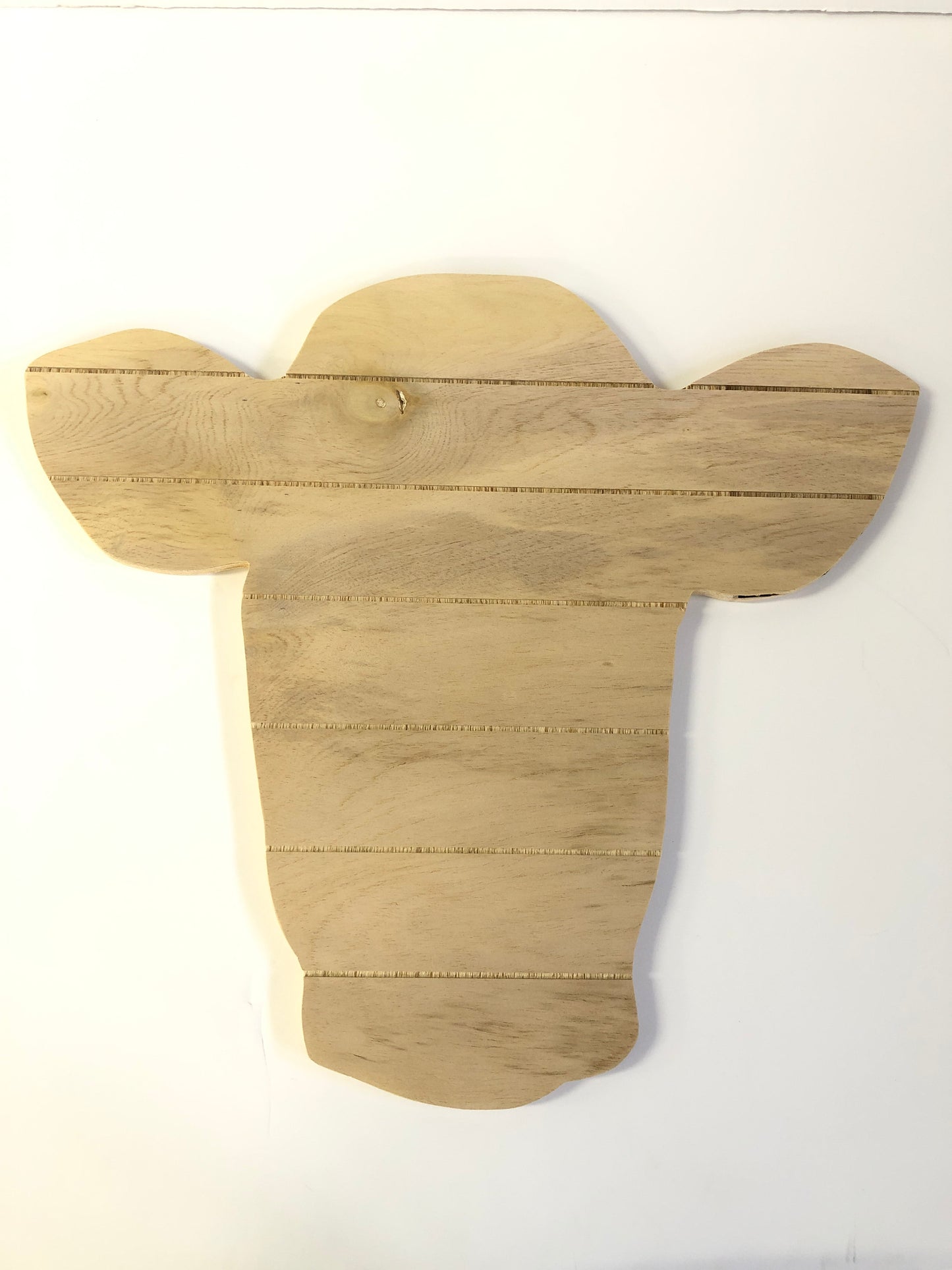 Raw Cow Head Door Hanger - 18”