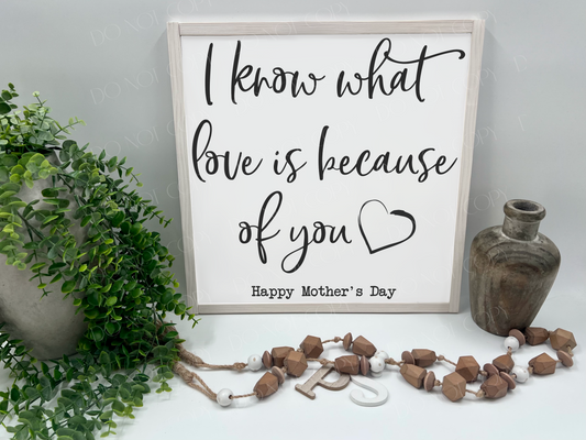 I Know What Love Is Because Of You Mothers Day - Wood Sign