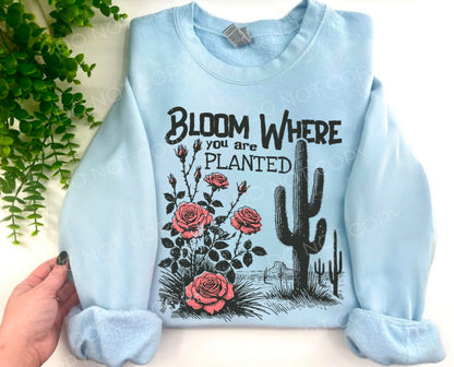 Bloom Where You Are Planted Roses & Cacti - Custom