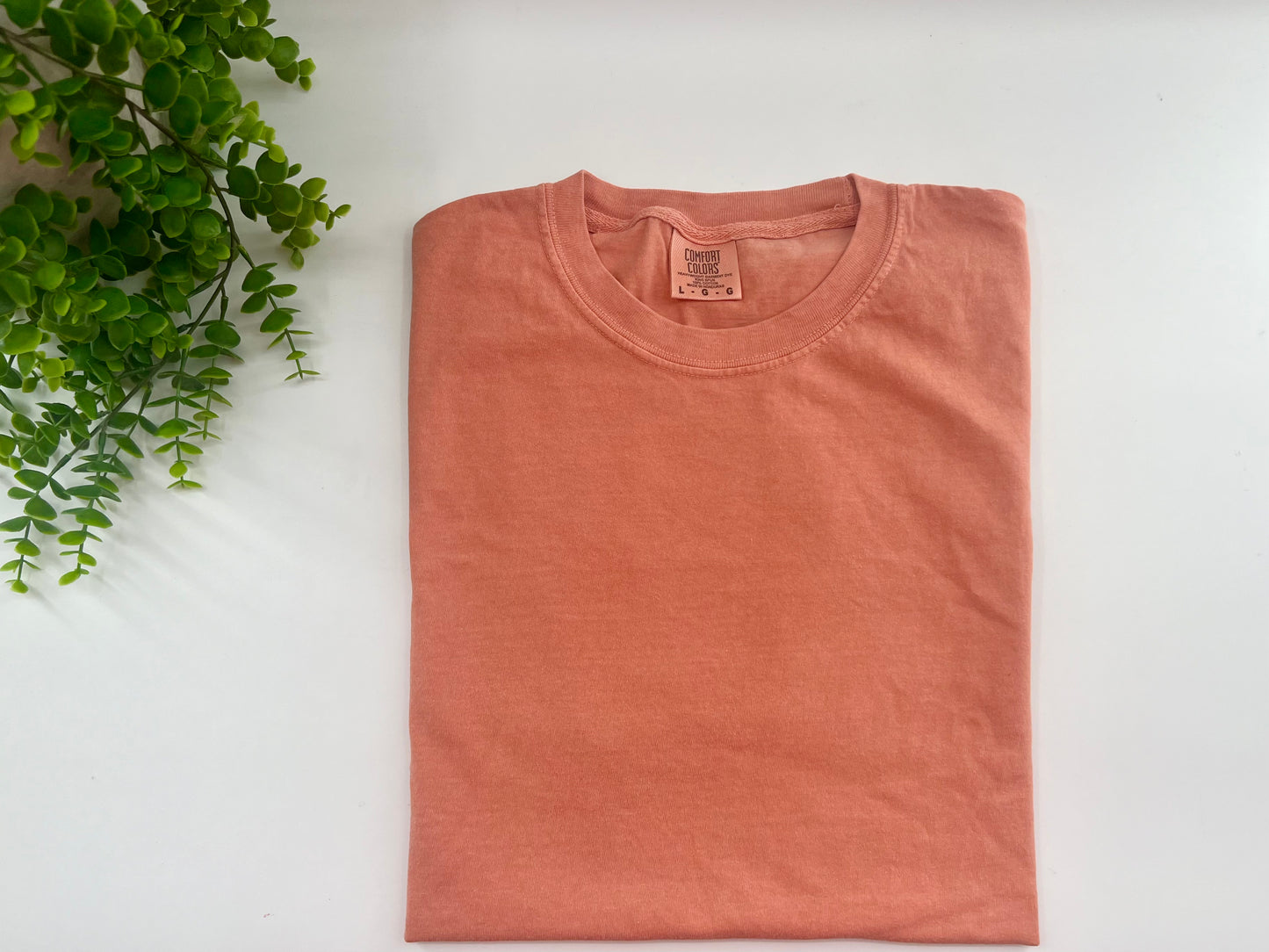 LARGE - Terracotta Comfort Colors - Tshirt