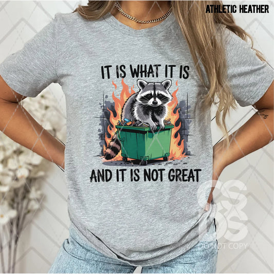 It Is What It Is - DTF013378