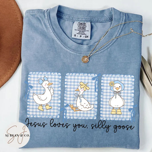 Jesus Loves You Silly Goose - Custom