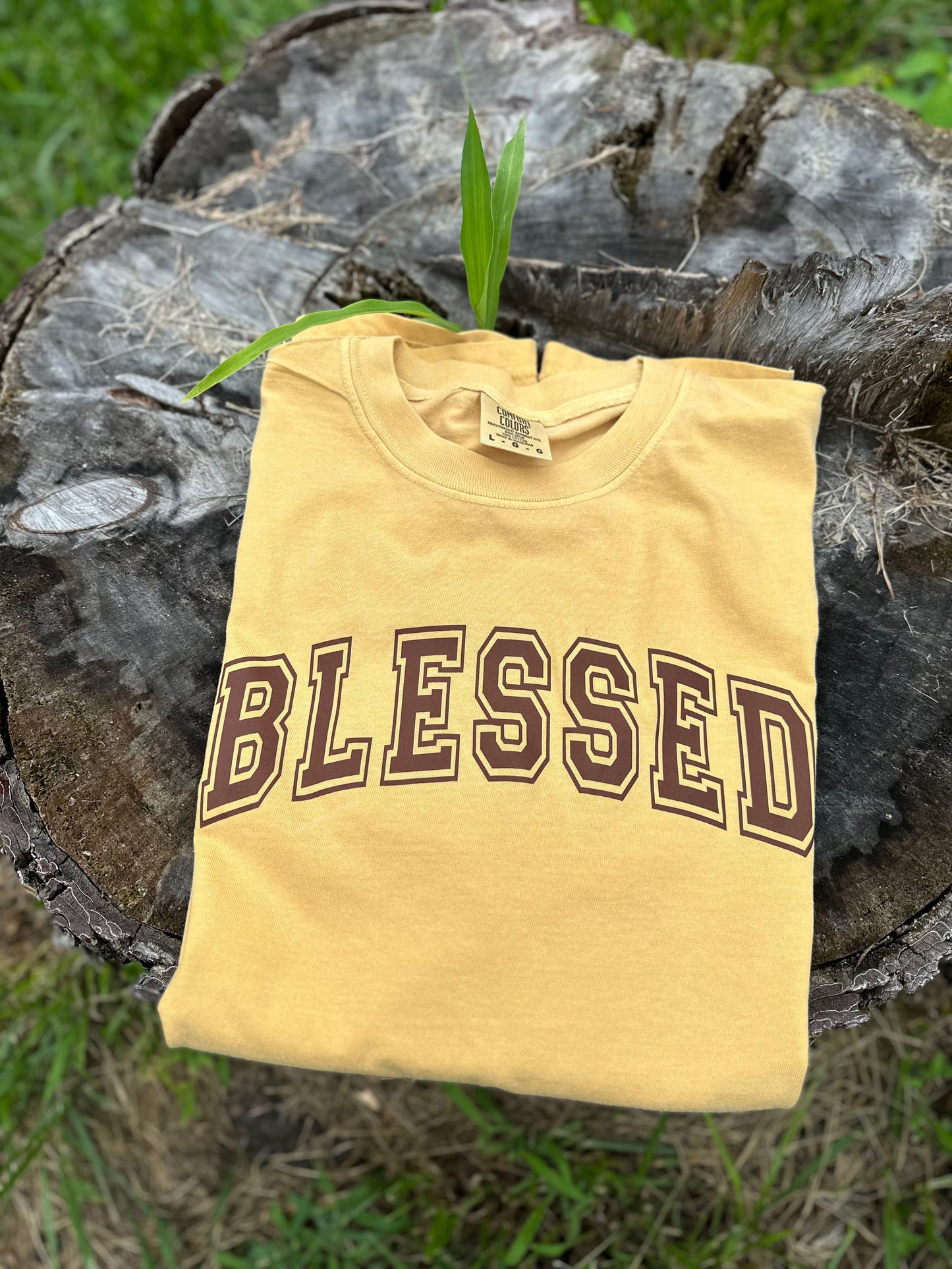 BLESSED ATHLETIC- Comfort Color